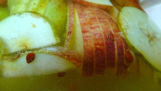widać wyraźnie bąbelki, to znak fermentacji alkoholowej, ocet jabłkowy będzie gotowy za około 10 dni