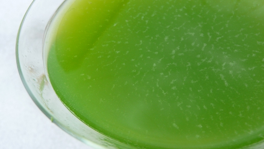 zielony sok trawa owsiana