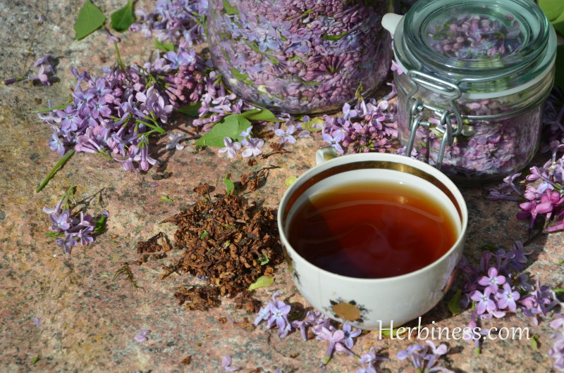 herbatka z kwiatka filiżanka(10)